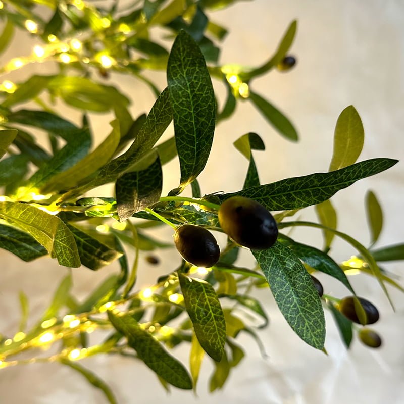 064011-3 Led Φωτιζόμενο Δέντρο Ελιά με Καρπούς 180cm - Led Olive Tree - Image 3