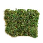 Διακοσμητικό Γρασίδι Για Συνθέσεις - Grass deco - Image 2