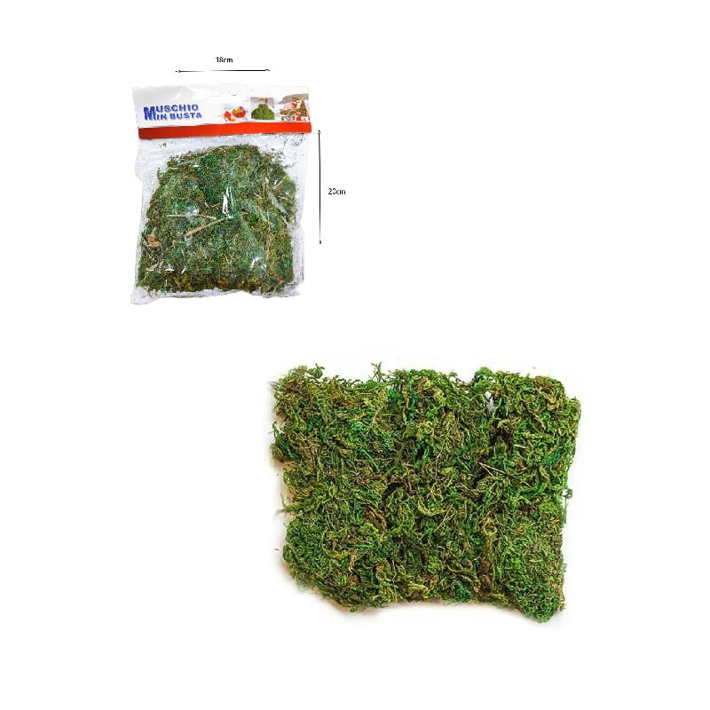 3800093-2 Διακοσμητικό Γρασίδι Για Συνθέσεις - Grass deco - Image 3