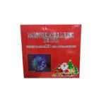 Φωτοσωλήνας Ψυχρό Χρώμα 10m - Light tubes manguera de luces - Image 6